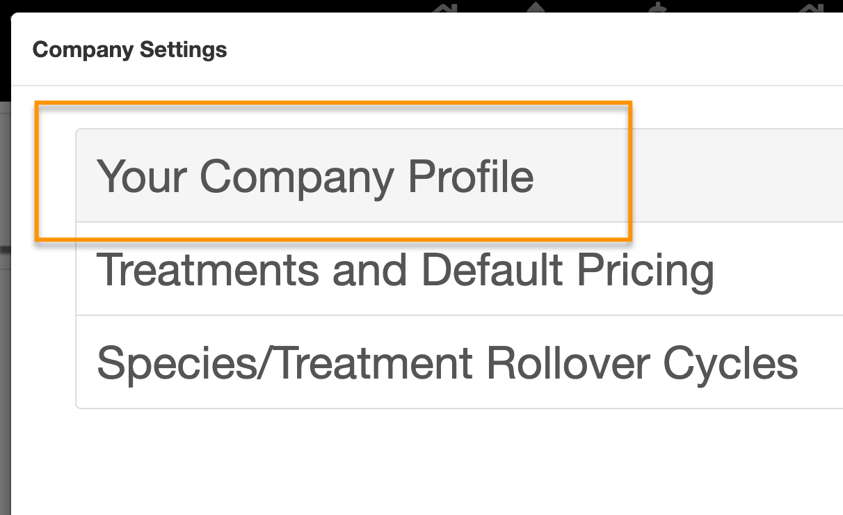 company-profile.png